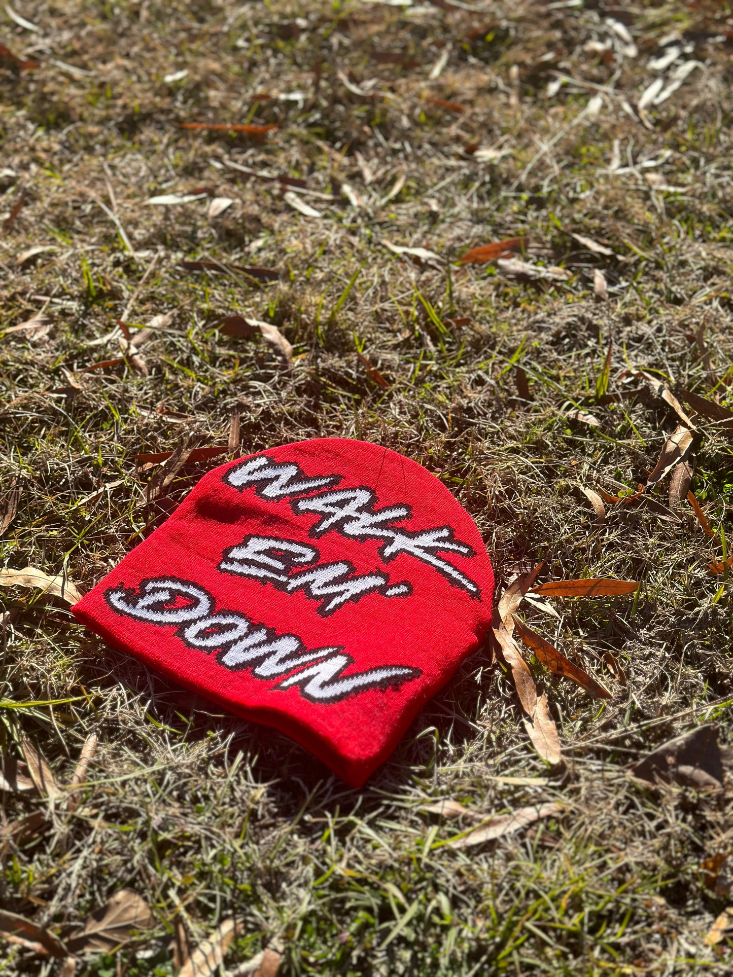 Red Beanie