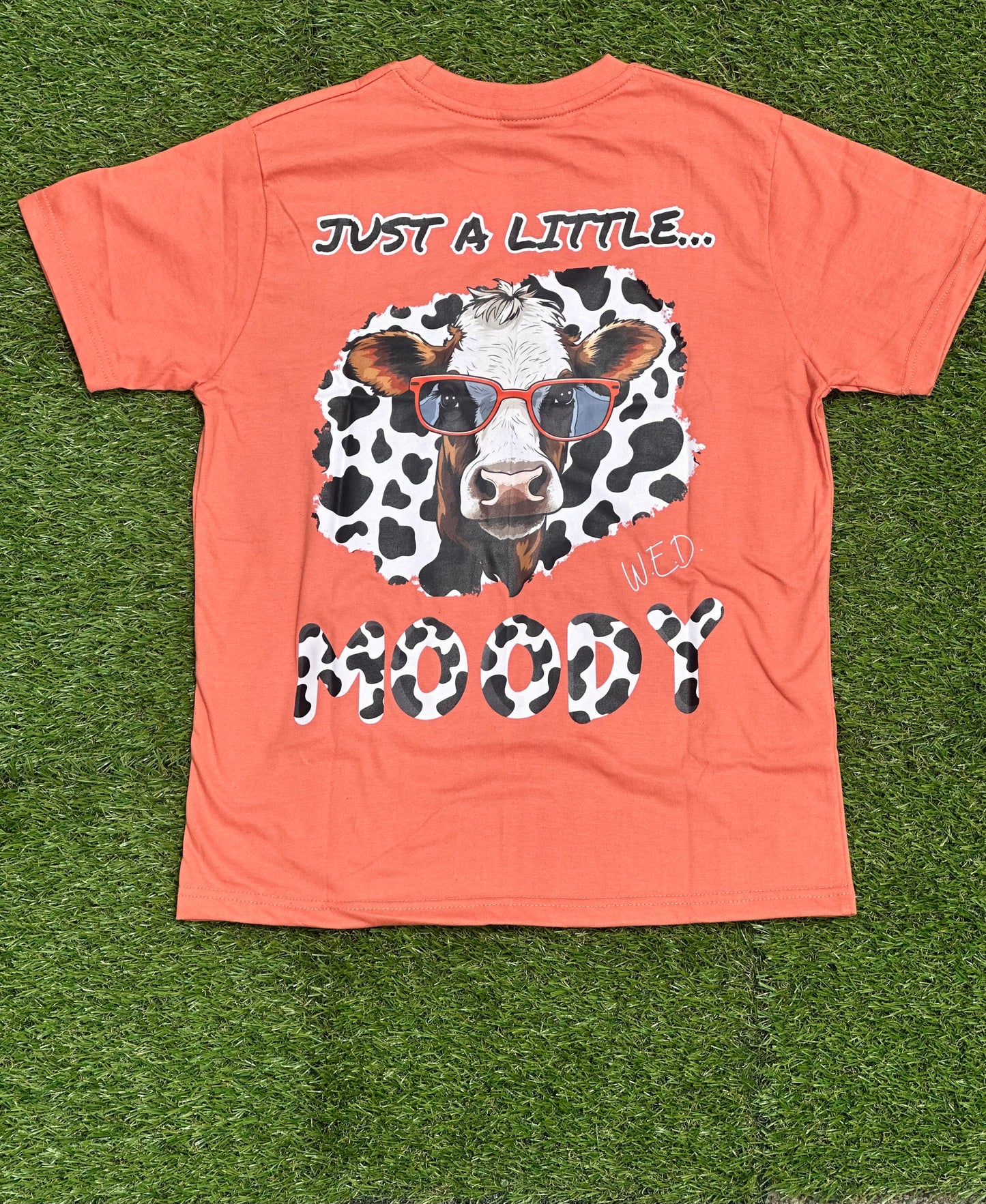 Peach Short Sleeve Shirt